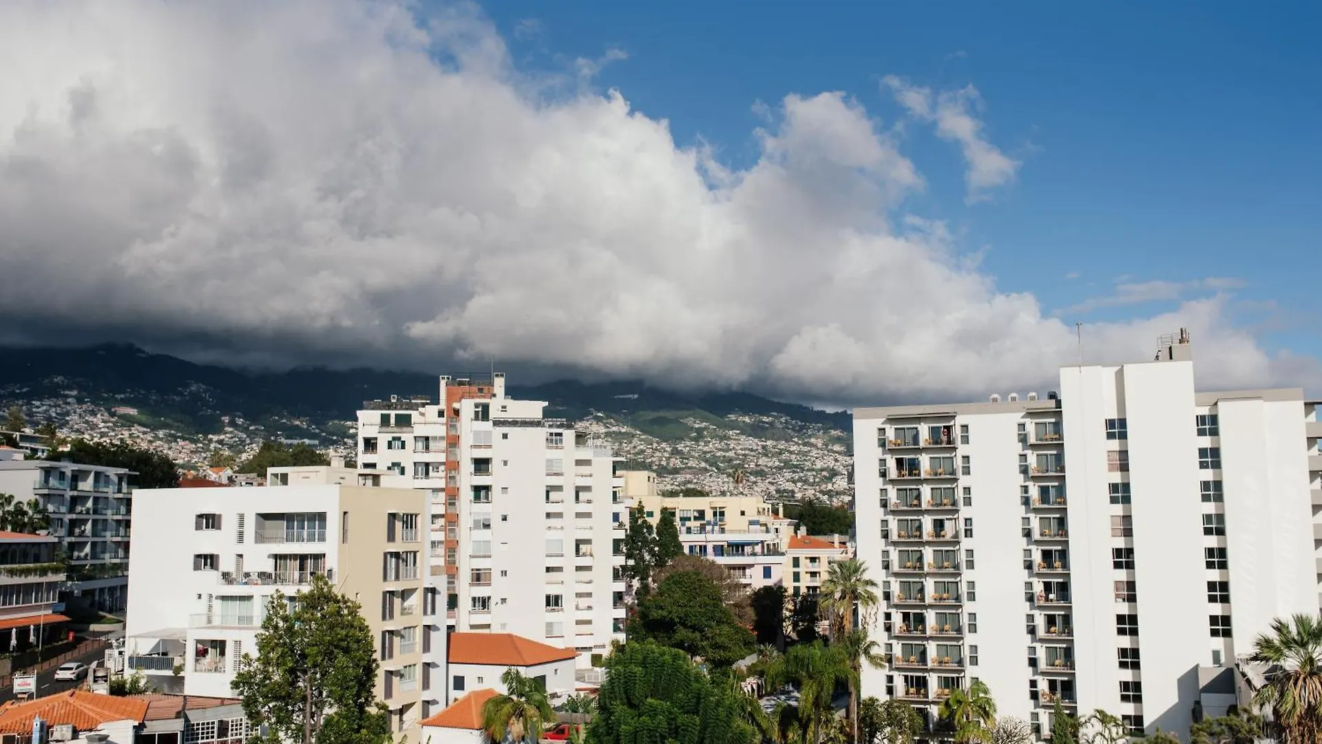 Luxurious T2 Varandas Apartment XIII Funchal